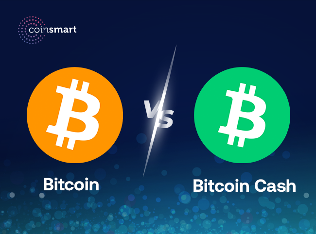whats the differene in btc and bch
